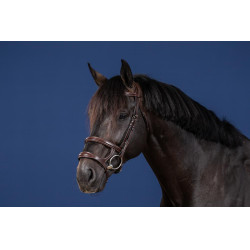 Briglia Doppio Capezzino Collezione US by Dy'on Marrone