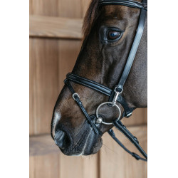 Briglia da addestramento Working By Dy'on Nero