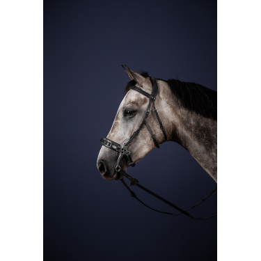 Hackamore Bridon New English Collection by Dy'on Nero Hackamore Bridon New English Collection by Dy'on Nero