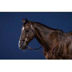 Hackamore US Collection by Dy'on Hackamore US Collection by Dy'on