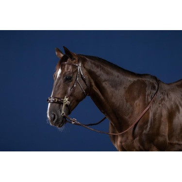 Hackamore US Collection by Dy'on Hackamore US Collection by Dy'on