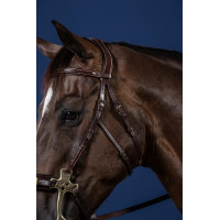 Hackamore US Collection by Dy'on Marrone Hackamore US Collection by Dy'on Marrone