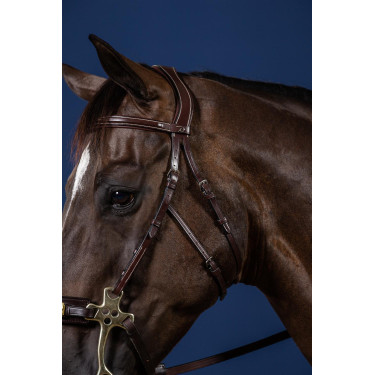 Hackamore US Collection by Dy'on Hackamore US Collection by Dy'on