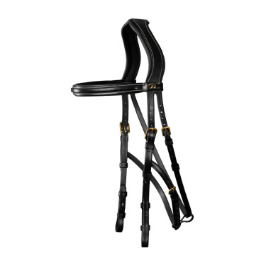 Hackamore D Collection by Dy'on Nero Hackamore D Collection by Dy'on Nero