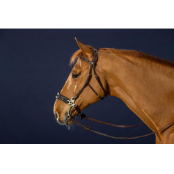 Hackamore D Collection by Dy'on Hackamore D Collection by Dy'on