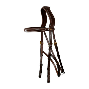 Hackamore D Collection by Dy'on Marrone