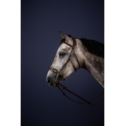 Hackamore Bridon New English Collection by Dy'on Hackamore Bridon New English Collection by Dy'on