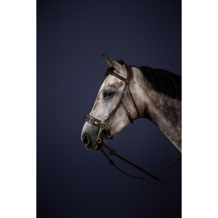 Hackamore Bridon New English Collection by Dy'on Hackamore Bridon New English Collection by Dy'on