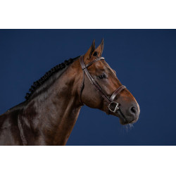 Briglia Hunter US Collection by Dy'on Briglia Hunter US Collection by Dy'on