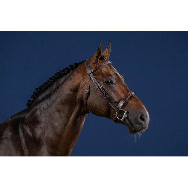 Briglia Hunter US Collection by Dy'on Briglia Hunter US Collection by Dy'on