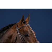 Briglia Hunter US Collection by Dy'on Nero Briglia Hunter US Collection by Dy'on Nero