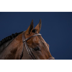 Briglia Hunter US Collection by Dy'on Briglia Hunter US Collection by Dy'on