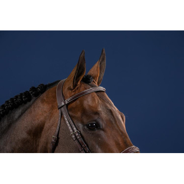 Briglia Hunter US Collection by Dy'on Briglia Hunter US Collection by Dy'on