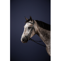 Briglia Capezzina Tedesca Corda New English Collection by Dy'on Nero