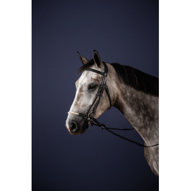 Briglia Capezzina Tedesca Corda New English Collection by Dy'on Nero