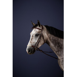 Briglia Capezzina Tedesca Corda New English Collection by Dy'on