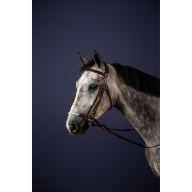 Briglia Capezzina Tedesca Corda New English Collection by Dy'on