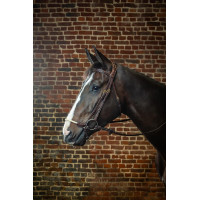 Briglia Capezzina Tedesca Corda D Collezione by Dy'on Nero