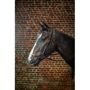 Bridon Muserolle Allemande Corde D Collection by Dy'on Brun Bridon Muserolle Allemande Corde D Collection by Dy'on Brun