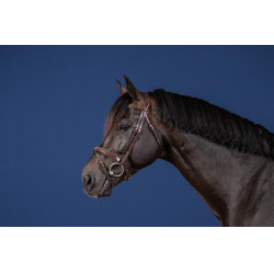 Briglia con Nasale Combinato US Collection by Dy'on