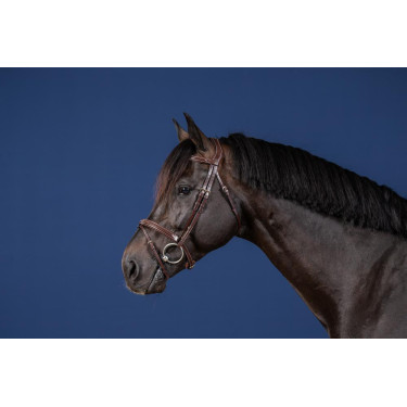 Briglia con Nasale Combinato US Collection by Dy'on