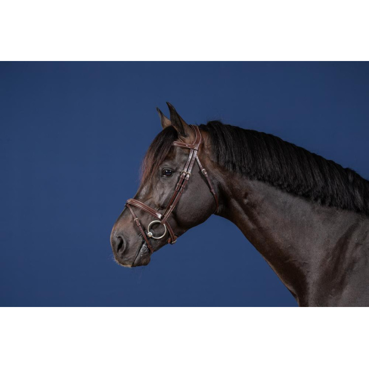 Briglia con Nasale Combinato US Collection by Dy'on