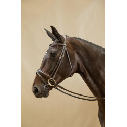Briglia Capezzina Combinata Large Working By Dy'on
