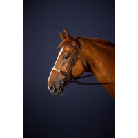 Briglia Capezzina Corda New English Collection by Dy'on Marrone