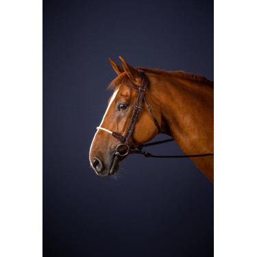 Bridon Muserolle Corde New English Collection by Dy'on Brun Bridon Muserolle Corde New English Collection by Dy'on Brun