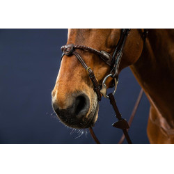 Bridon Muserolle Corde Recouverte de Cuir D Collection by Dy'on Brun