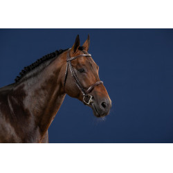 Briglia con capezzina francese US Collection by Dy'on
