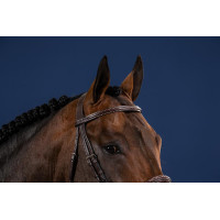 Briglia con capezzina francese US Collection by Dy'on Nero Briglia con capezzina francese US Collection by Dy'on Nero