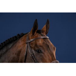 Briglia con capezzina francese US Collection by Dy'on Marrone Briglia con capezzina francese US Collection by Dy'on Marrone