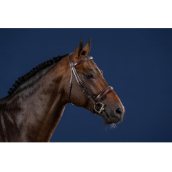 Briglia Capezzina Large Hunter US Collection by Dy'on