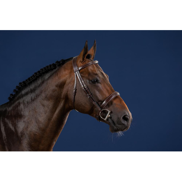 Briglia Capezzina Large Hunter US Collection by Dy'on
