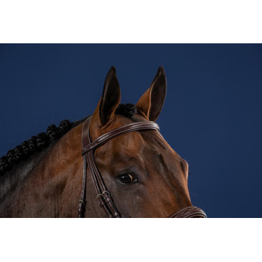 Briglia Capezzina Large Hunter US Collection by Dy'on Briglia Capezzina Large Hunter US Collection by Dy'on