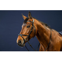 Briglia X-Fit D Collection by Dy'on Nero