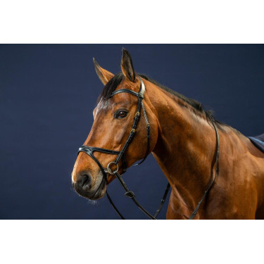 Briglia X-Fit D Collection by Dy'on Nero