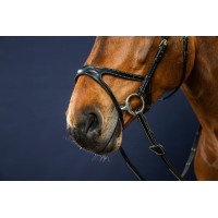 Briglia X-Fit D Collection by Dy'on Marrone