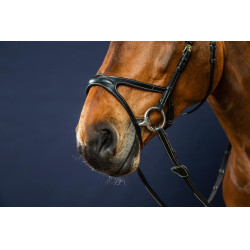 Briglia X-Fit D Collection by Dy'on Nero