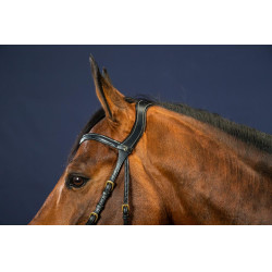 Briglia X-Fit D Collection by Dy'on Nero