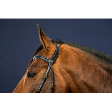 Briglia X-Fit D Collection by Dy'on Nero