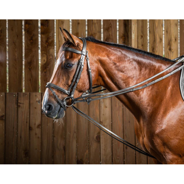 Redini tedesche Hunter 1/2 Working By Dy'on