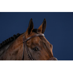 Frontal Dritto Senza Perni Collezione US di Dy'on