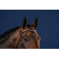 Frontalino V Clincher Argentato US Collection by Dy'on