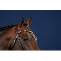 Frontalino a V in cuoio piatto US Collection by Dy'on