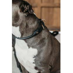 Collare intrecciato per cane Dy'on