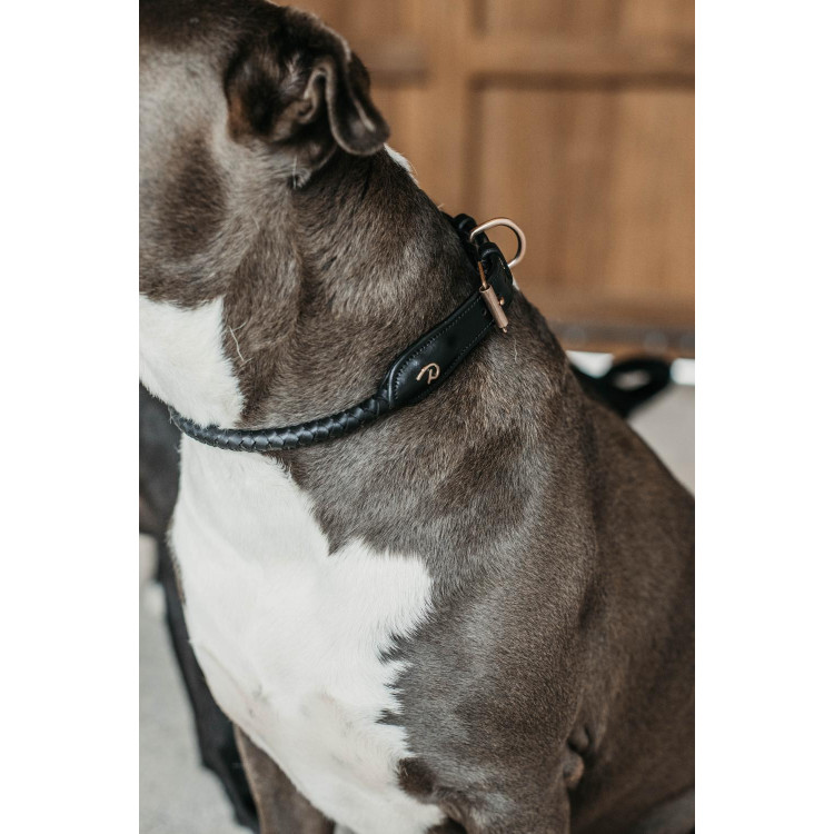 Collare intrecciato per cane Dy'on