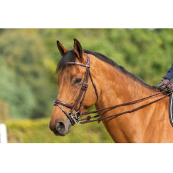 Bride Muserolle Combinée New English Collection by Dy'on Brun