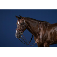 Briglia con Musarella Combinata New English Collection by Dy'on Marrone